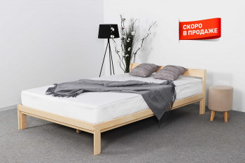Кровать Ирен 900 с основанием  в Болотном - bolotnoe.mebel54.com | фото