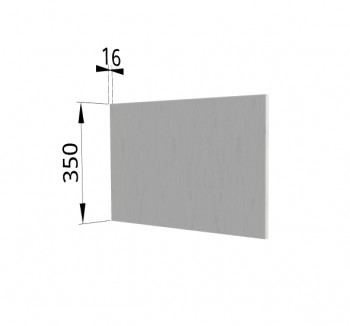 Панель торцевая (для шкафа горизонтального глубокого) ГПГ Гранд (Пепел) в Болотном - bolotnoe.mebel54.com | фото