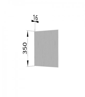 Панель торцевая (для шкафа горизонтального) ПГ Гранд (Белый) в Болотном - bolotnoe.mebel54.com | фото