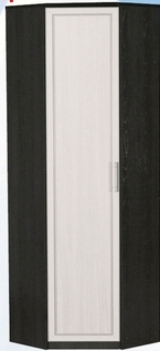Шкаф для одежды угловой ДЛЯ ГОСТИНОЙ ШОУ-695 Венге/Дуб выбеленный в Болотном - bolotnoe.mebel54.com | фото